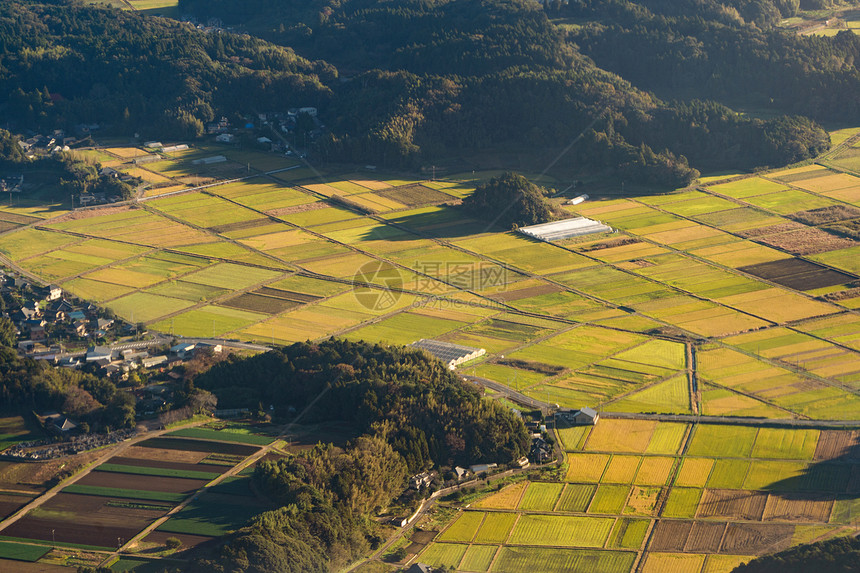 春季日本农村田的空中景象农村地区稻田形态自然质地背景图片