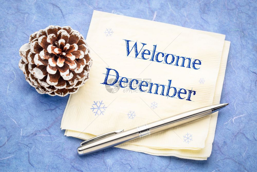 欢迎十二月手写在餐巾纸上的笔迹面有冰冻松果图片