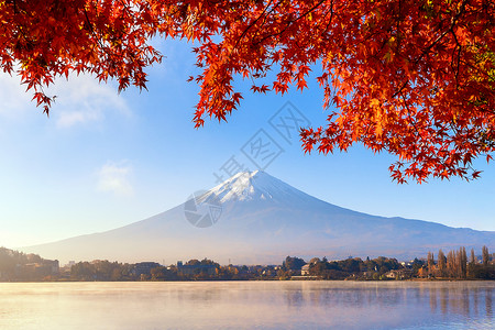 秋季的叶和藤山亚马纳什川口子附近的五湖蓝天背景的日本树图片