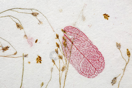 手做的黄莓纸上面有叶子花瓣图片
