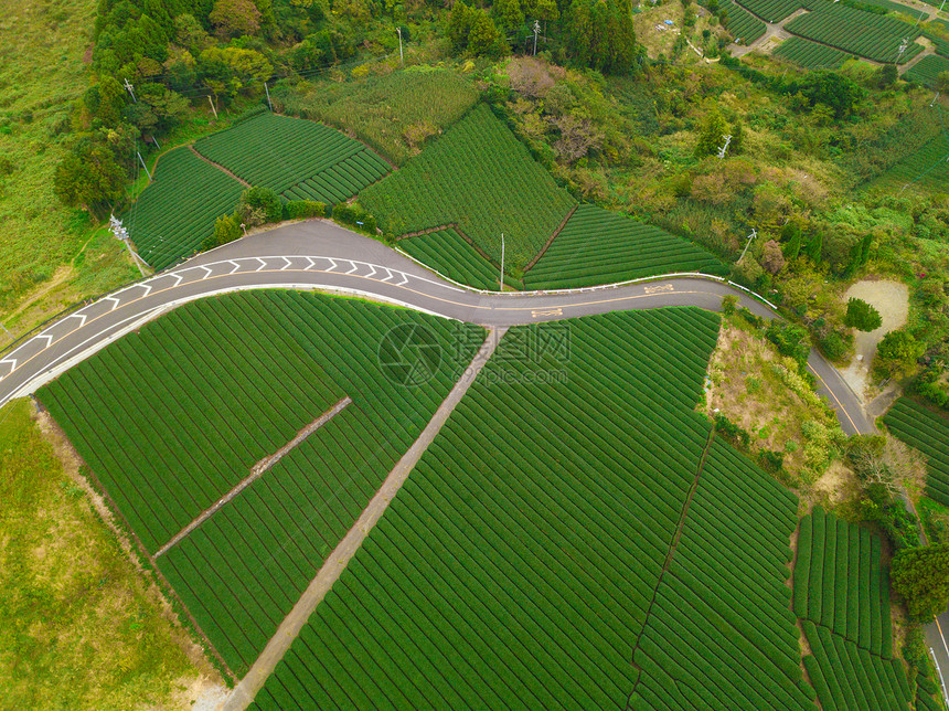 秋季静冈Shizuoka水稻田的空中景象绿色农村地区或日本山丘上的农村土地图片