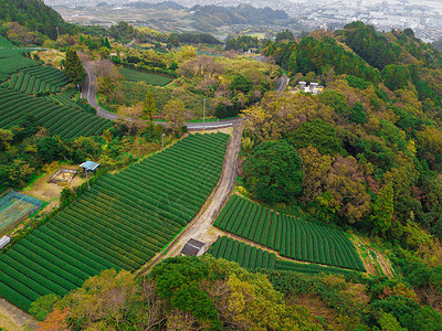 秋季静冈Shizuoka水稻田的空中景象绿色农村地区或日本山丘上的农村土地背景