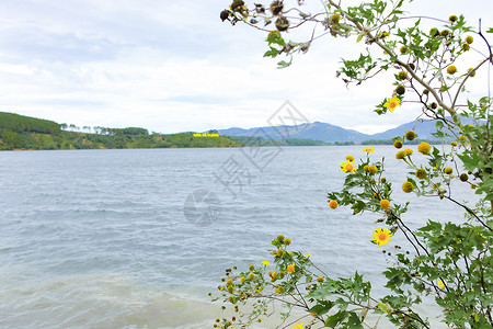 双浩旅游区生态与大湖松林周围绿地新鲜空气人们在越南GiaLai比恩霍池塘划船背景图片