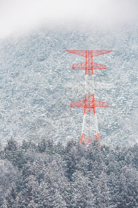 日本长野川布松林冬季风景图片