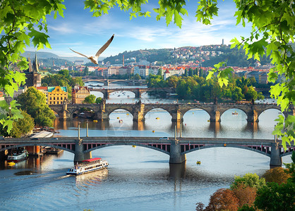 布拉格Vltava河一连排的桥梁视图图片