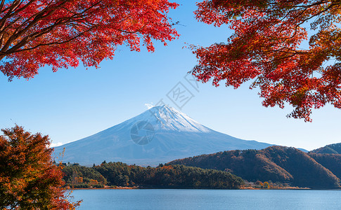 五湖丰富多彩的藤川久子高清图片