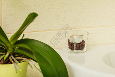 花盆和小蜡烛放在咖啡豆里室内拍摄咖啡豆里鲜花和小蜡烛放在咖啡豆里图片