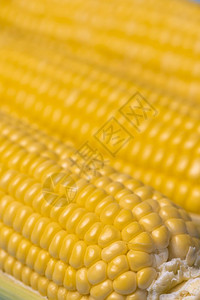 玉米质地背景新鲜有机玉米高清图片