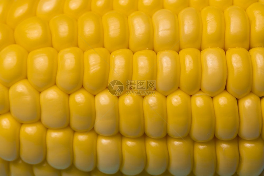 玉米质地背景新鲜有机玉米图片