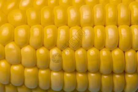 玉米质地背景新鲜有机玉米图片