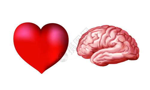 劲头激情热心3D孤立的心脏和大脑背景