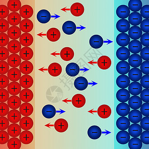 电解质紊乱向负电极和正转移背景