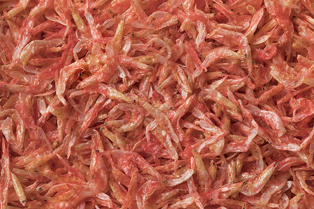 传统日本樱桃树干小粉红虾整条鱼合上图片