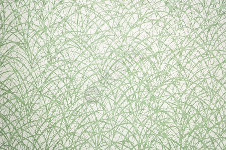 日本白草状的灰组织与绿黄莓纸相对图片