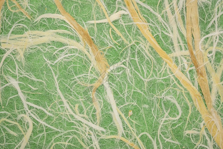 绿色背景的泰国天然毛莓树草纸图片
