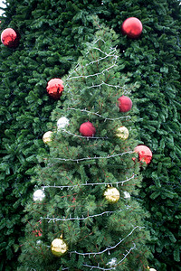 圣诞节树装饰图片