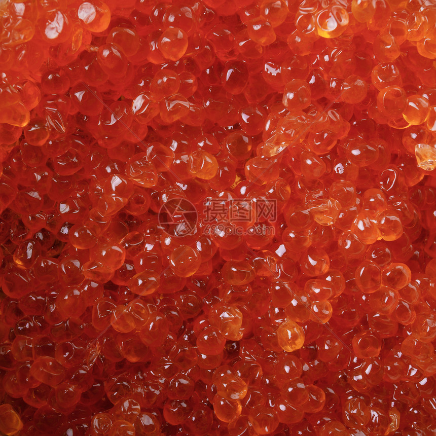 红鱼子酱健康的海洋食物图片