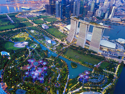 超级树林园在新加坡市玛丽娜湾的海旁花园晚上空中观赏高清图片