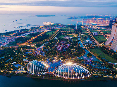 超级树林园在新加坡市玛丽娜湾的海旁花园晚上空中观赏图片