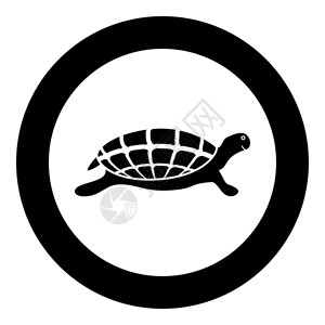 乌龟图标图片