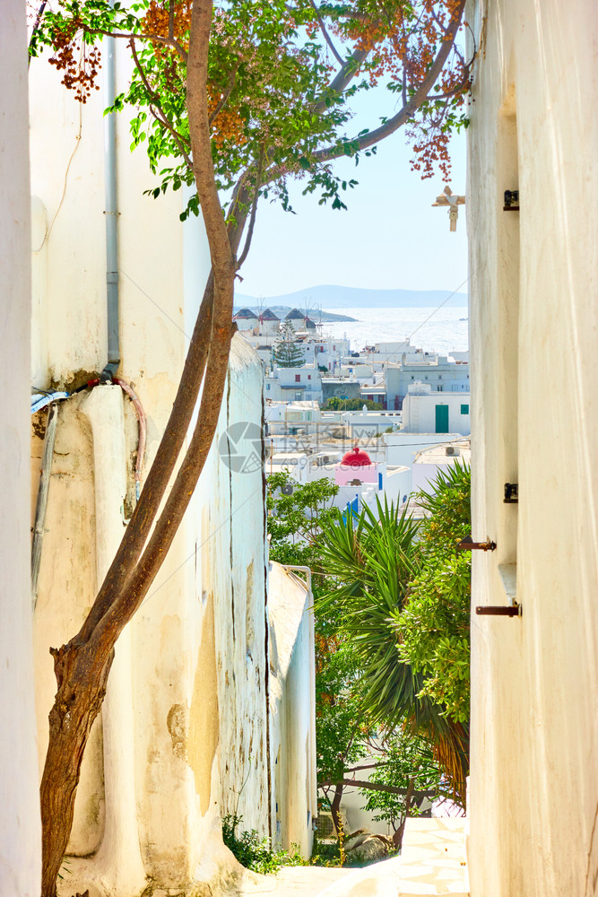 希腊米科诺斯岛的老下坡街图片