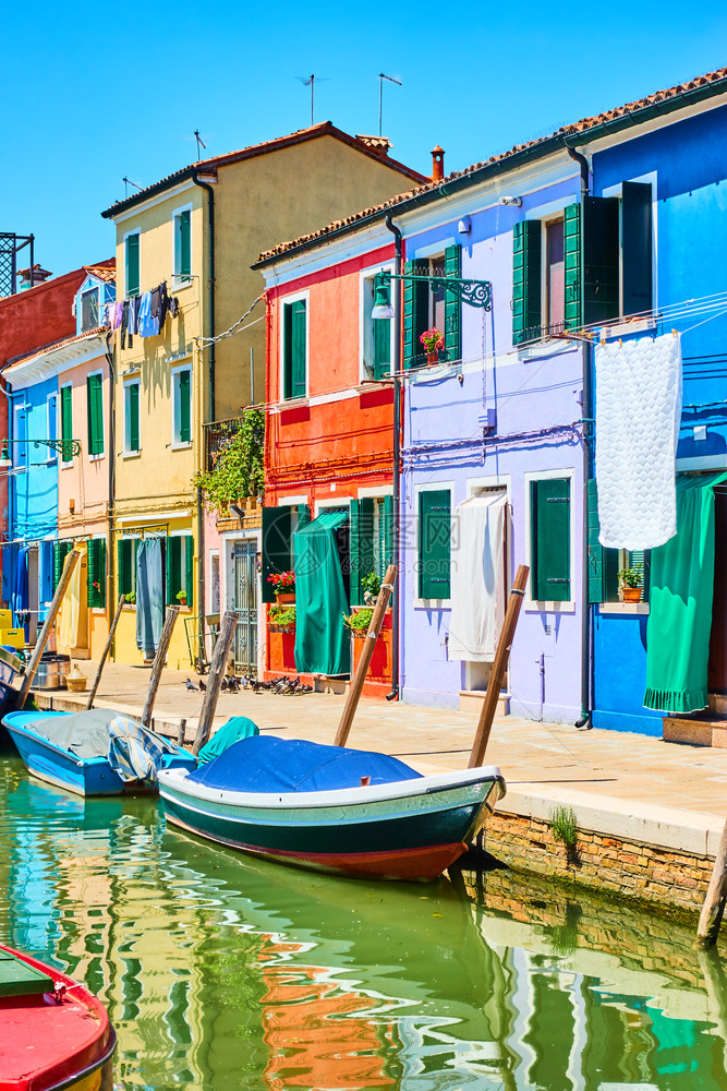 在意大利威尼斯的布拉诺通过运河建造的多彩小房屋图片