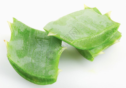 白色背景上的AloeVera图片