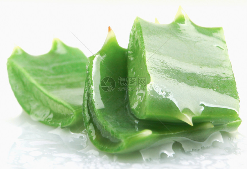 白色背景上的AloeVera图片