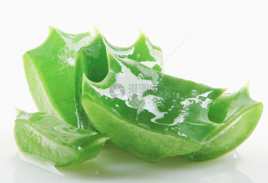 白色背景上的AloeVera图片