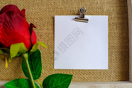 红玫瑰有情侣的贺卡图片