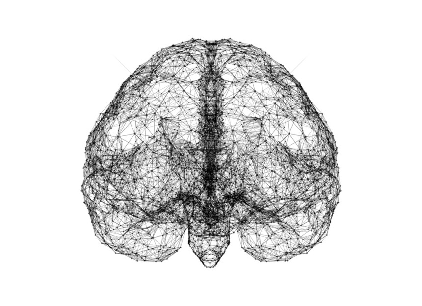 以人造技术和医学概念智能为形式的白背景孤立人类大脑数字据和网络连接图片