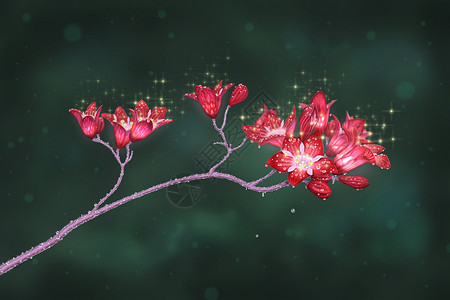 深绿色背景下水滴覆盖的微妙红花数码绘画绿色背景上红花的数字绘画背景图片