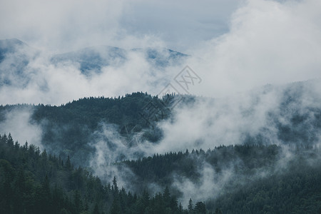 云峰会迷雾般的山地和森林貌夏季雾和云美国烟般的山地公园雾和森林地貌夏季雾和云般的早晨背景