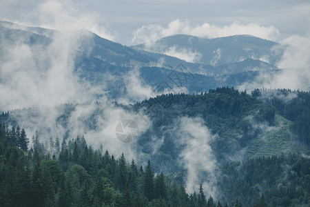 云峰会迷雾般的山地和森林貌夏季雾和云美国烟般的山地公园雾和森林地貌夏季雾和云般的早晨背景