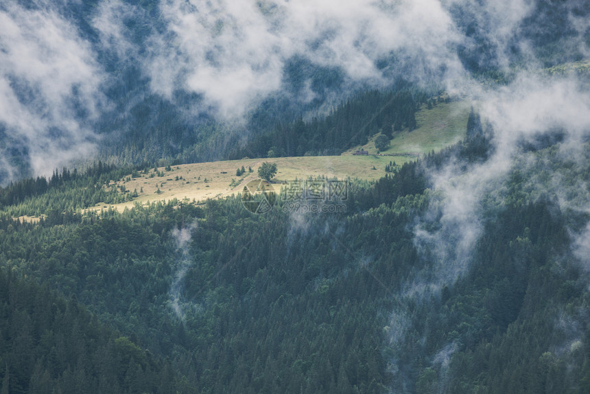 迷雾般的山地和森林貌夏季雾和云美国烟般的山地公园雾和森林地貌夏季雾和云般的早晨图片