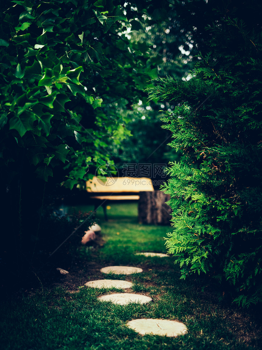 花园的砖头路通往木板凳公园后院休息放松图片