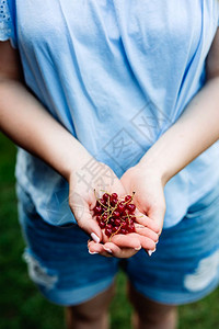 女人手里握着红莓摘水果收割健康食物近距离接图片