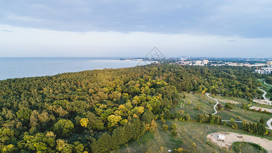 波兰格丹斯克罗的海沿岸森林秋季节旅行目的地格丹斯克波罗的海沿岸森林图片