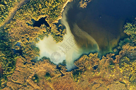 秋季绿林和湖平原波兰格但斯克的PtasiRaj自然保护区秋季绿林和湖图片