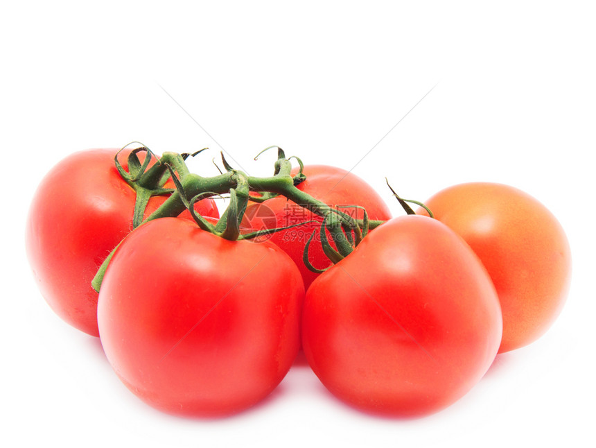 白色背景的一连串成熟番茄图片