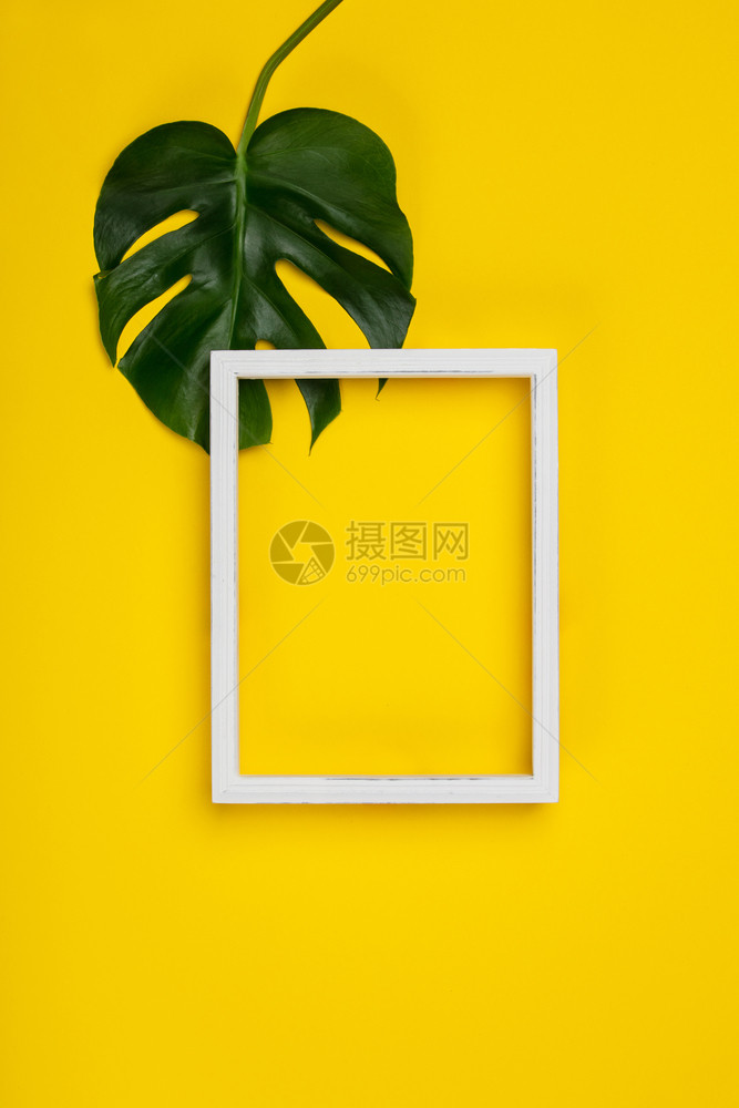 创意平板与热带植物和黄背景文字白框相配创意平板与热带植物和白框架相配图片