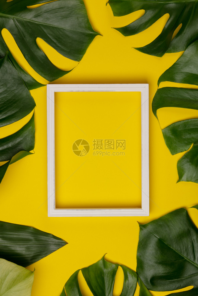 创意平板与热带植物和黄色背景文字白框相配创意平板与热带植物和白色框架相配图片