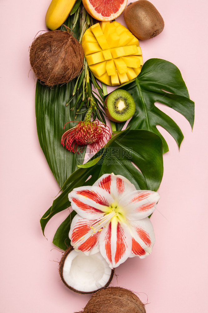 具有创意的公寓与热带水果和植物的粉红色背景具有创意的公寓与热带水果和植物的公寓图片