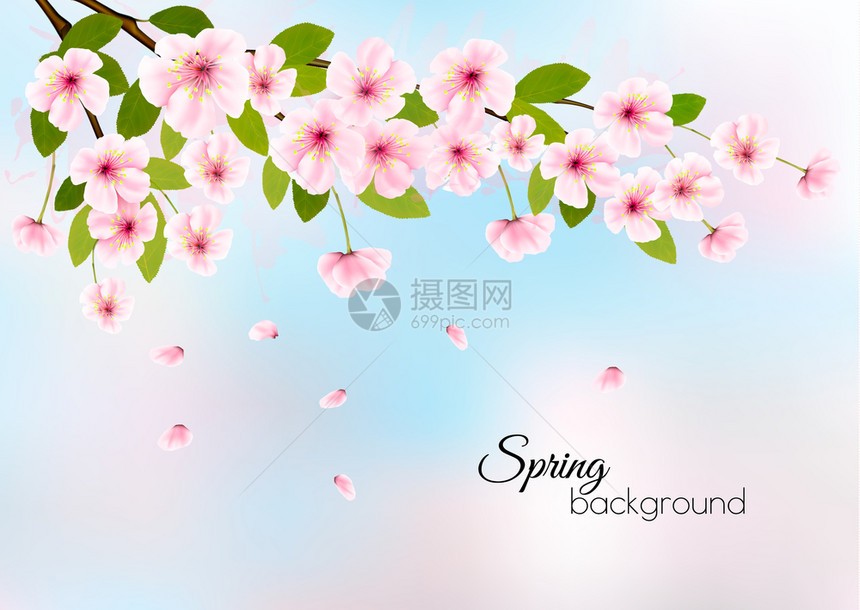 大自然春季粉红色樱花矢量背景图片