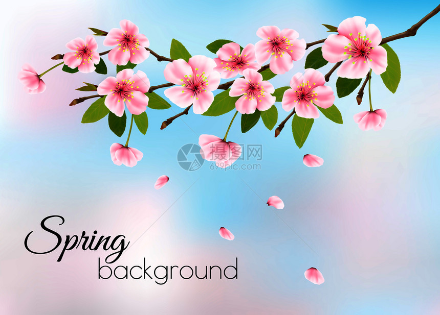大自然春季粉红色樱花矢量背景图片