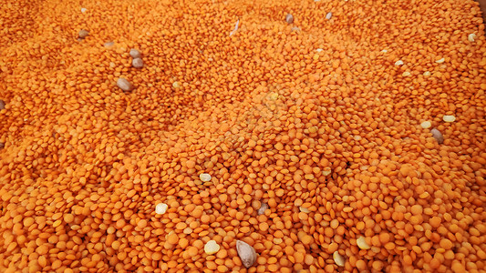 市场上的红扁豆贴近市场图片