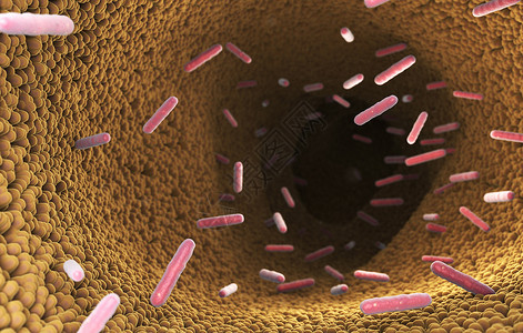 3D说明消化系统肠中的细菌高清图片