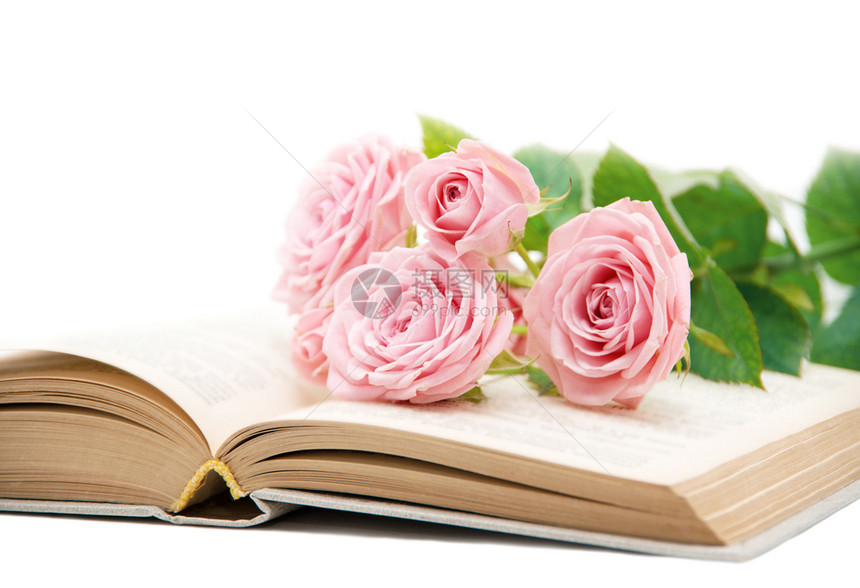 玫瑰和旧书粉色图像图片