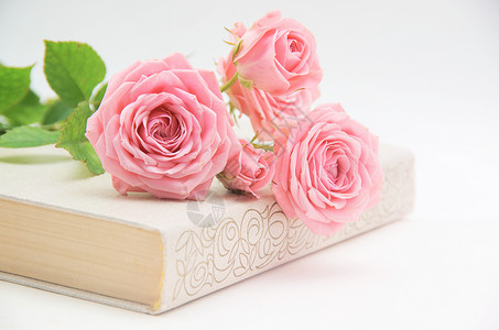玫瑰和旧书粉色图像背景图片