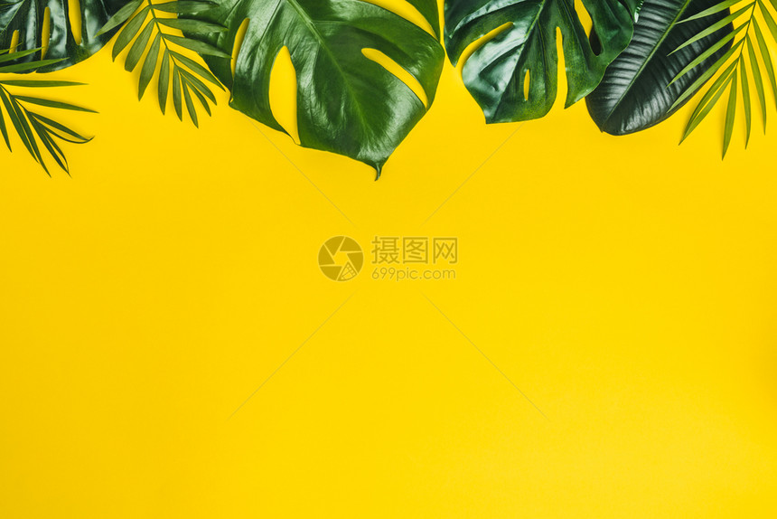 热带树叶黄色背景最小概念平板文字空间图片